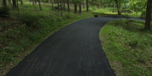local asphalt companies