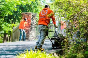 pave driveway cost