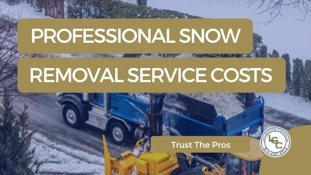 winter snow removal costs in ny