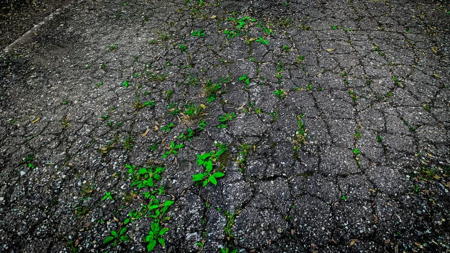 Constructions Projects about Sustainable Materials for Paving & Driveways